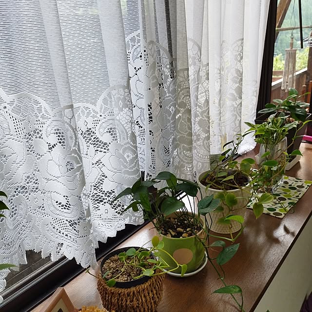 実例写真