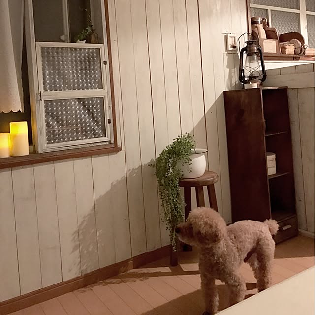 rookuさんの実例写真