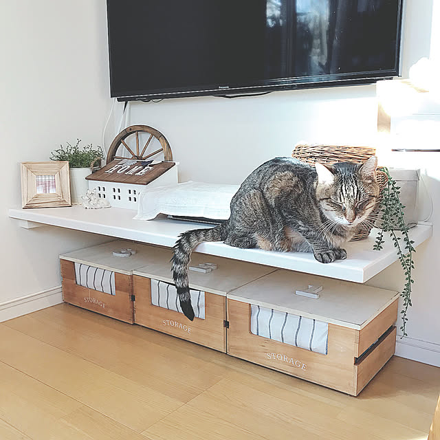 lovecatさんの実例写真