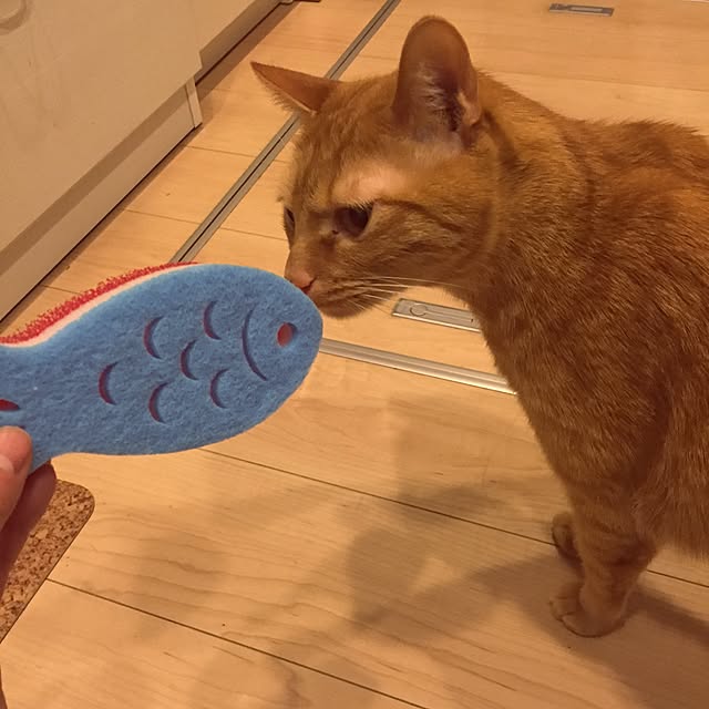 Minamiさんの実例写真