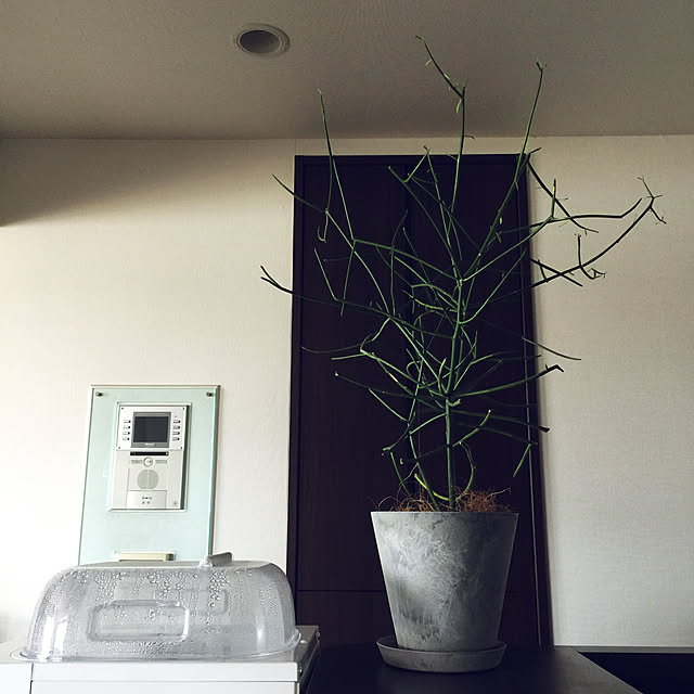 HKSさんの実例写真