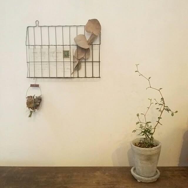 kokkomachaさんの実例写真