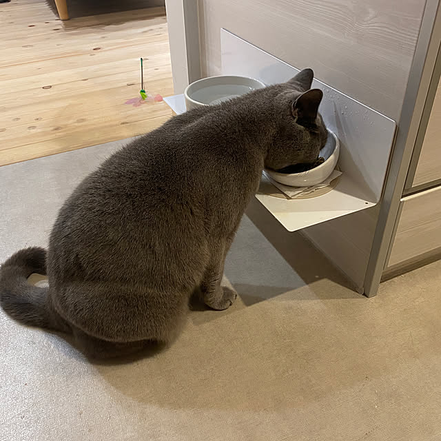 hachiさんの部屋