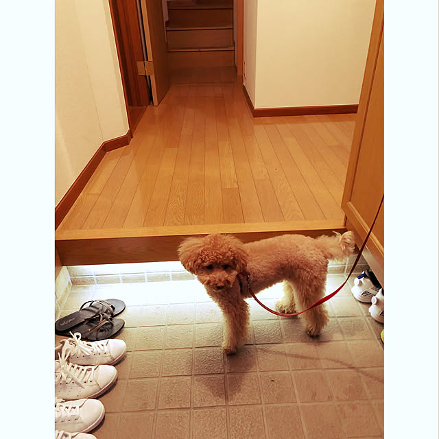 chaimomさんの実例写真