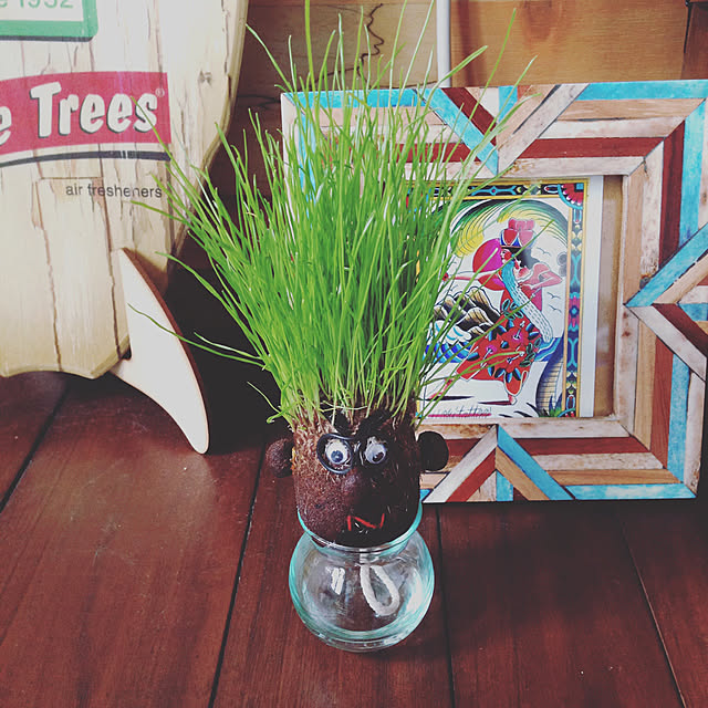 棚/観葉植物/男前のインテリア実例 - 2017-12-04 09:58:08