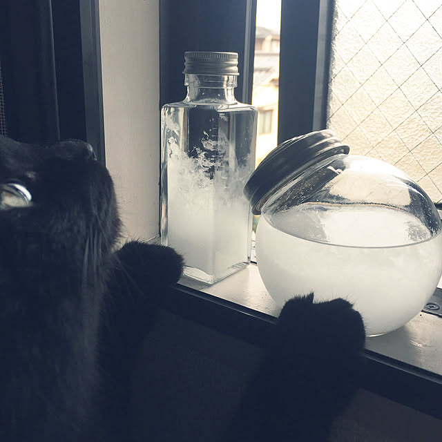 soraさんの実例写真