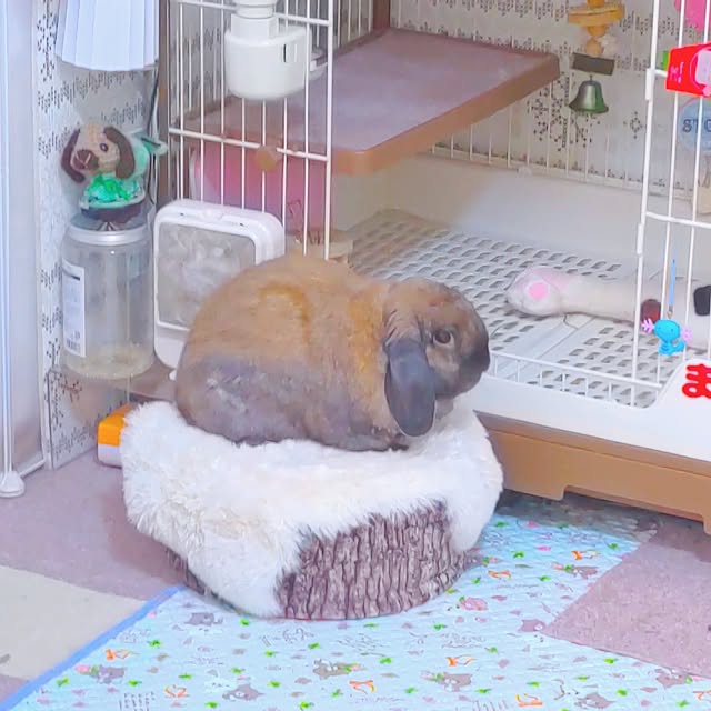mariaさんの部屋