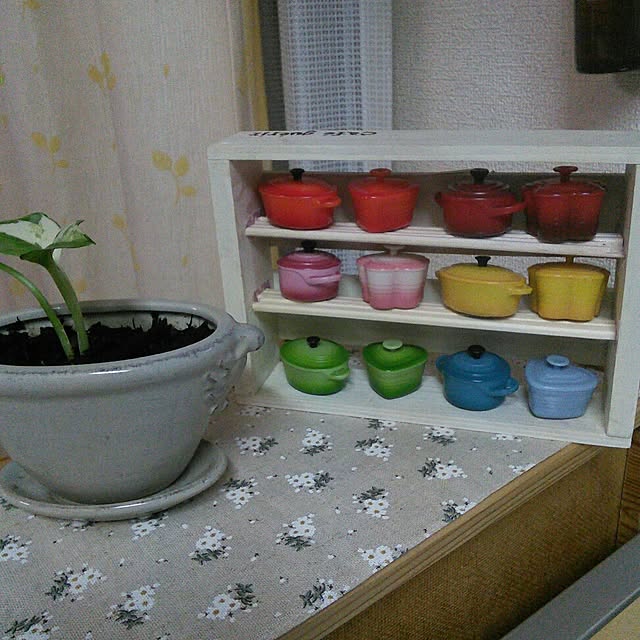satokotokoさんの実例写真