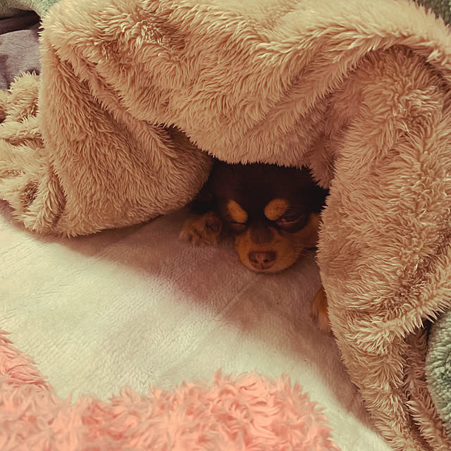 Ayaさんの実例写真