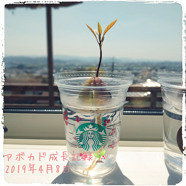 cHimAさんの実例写真