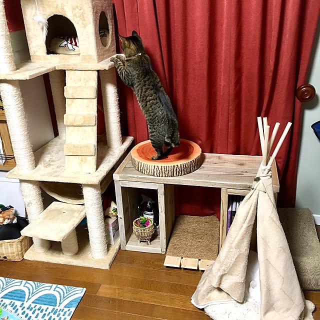 Norikoさんの実例写真