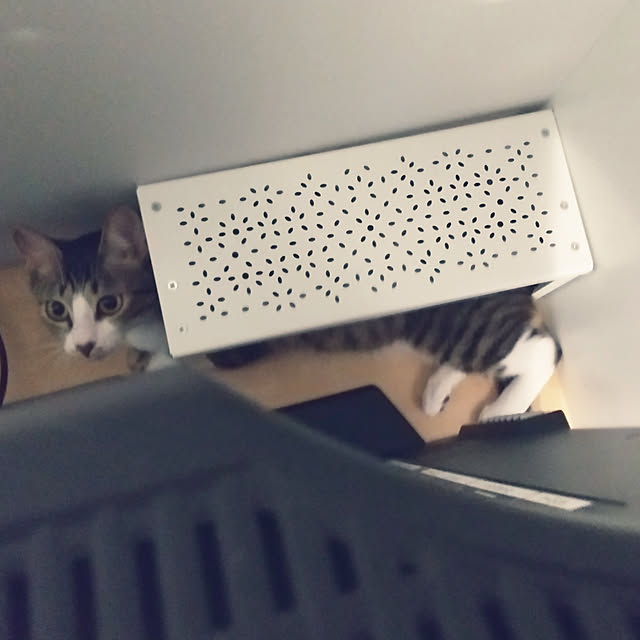 hanacocoさんの実例写真