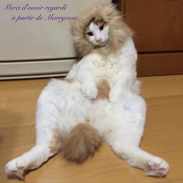 maria.rさんの実例写真