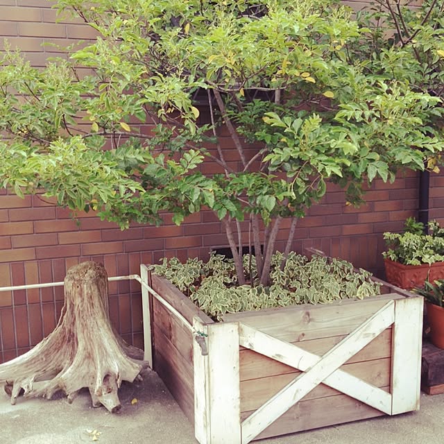 実例写真