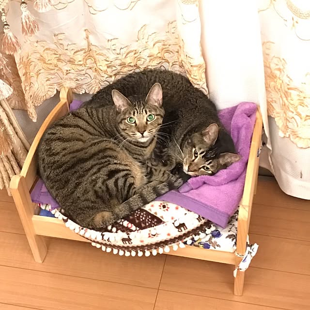 kyoさんの実例写真