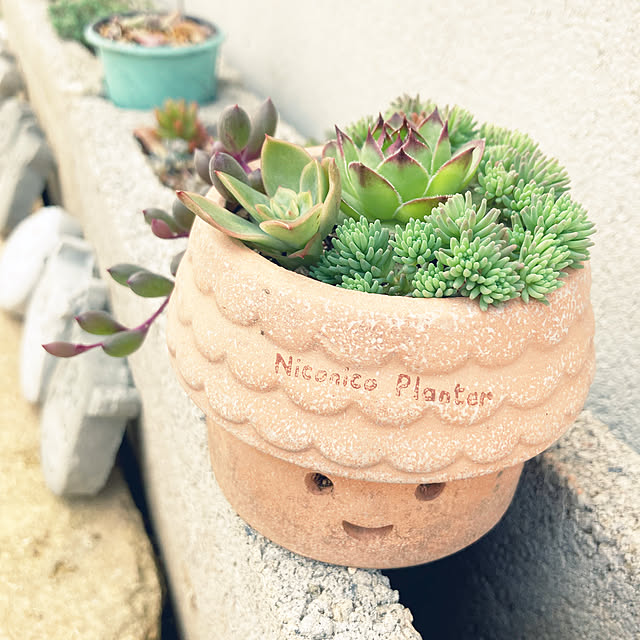 pekoさんの実例写真