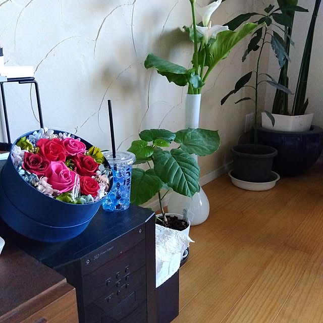 coco1204さんの部屋