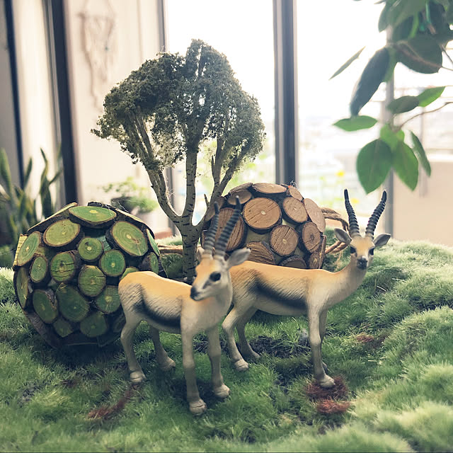 RICCOさんの実例写真