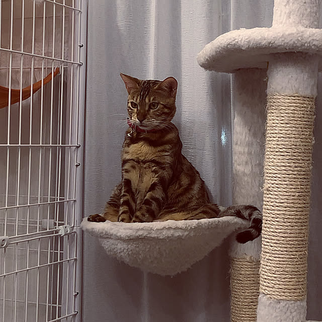 iranさんの実例写真