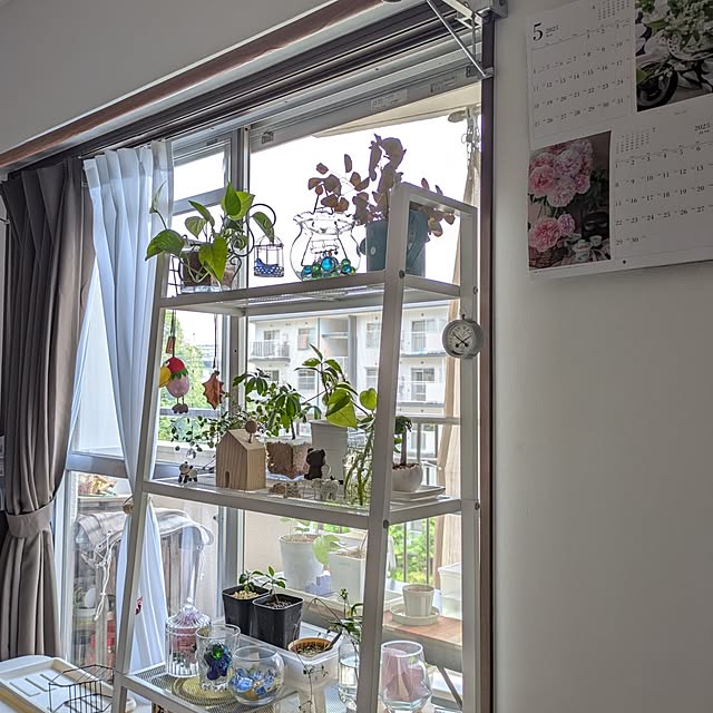 mi-saさんの部屋