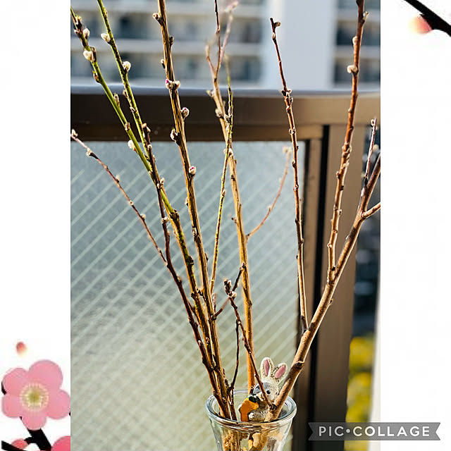 aureaさんの実例写真