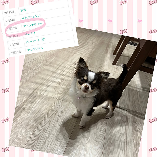 Hannahさんの実例写真