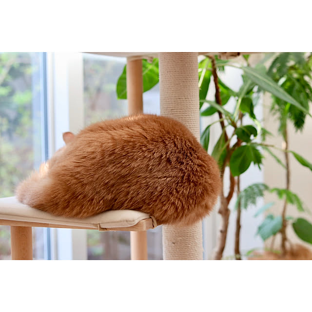 eriさんの部屋