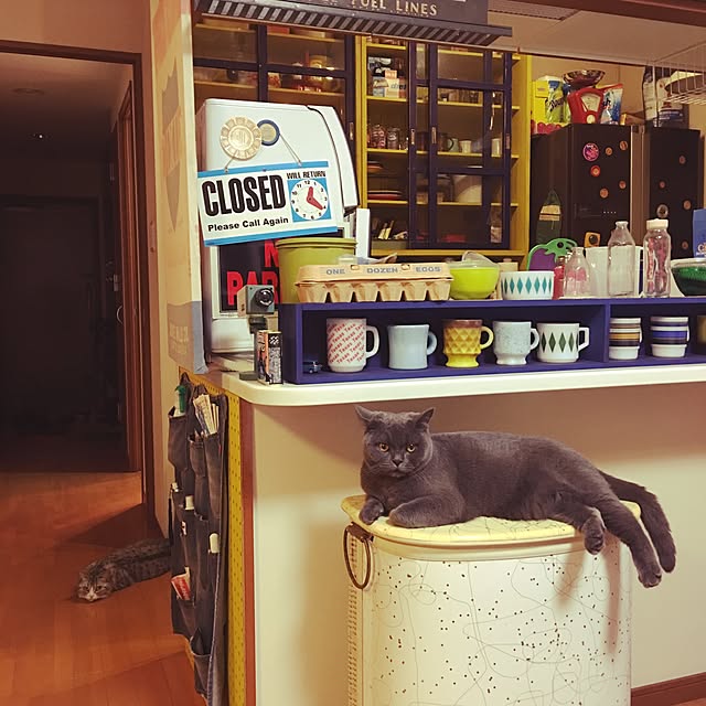 Shojiさんの実例写真