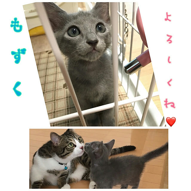 fukusukeさんの実例写真