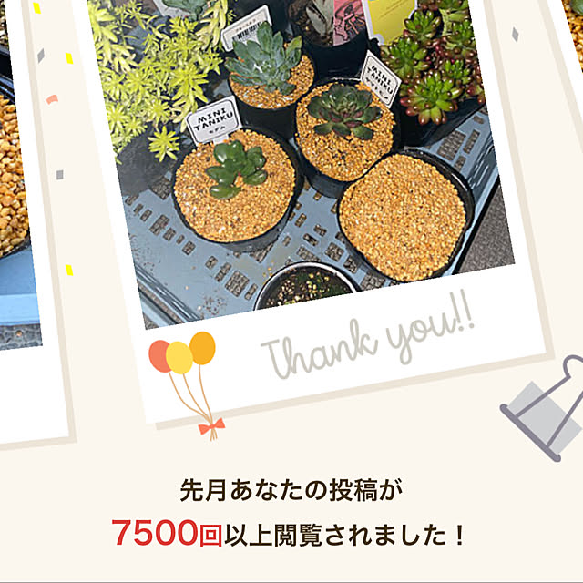 melmelさんの実例写真
