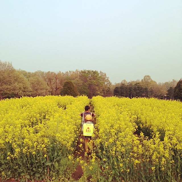 ricoさんの実例写真