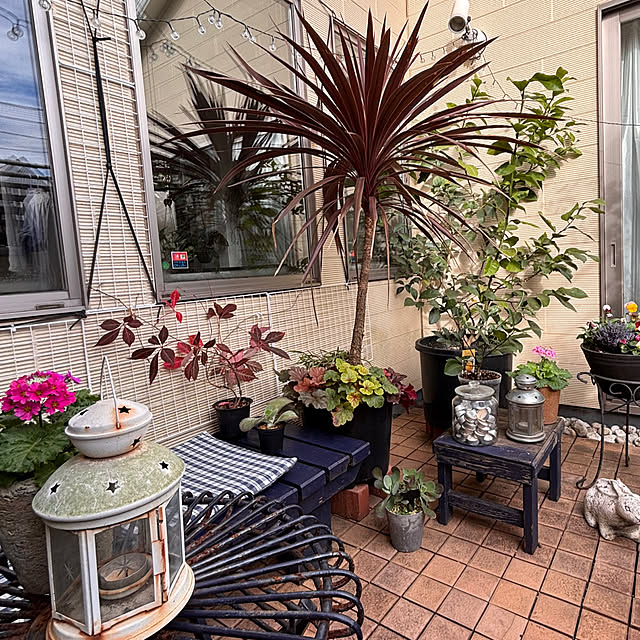 greycatsさんの実例写真