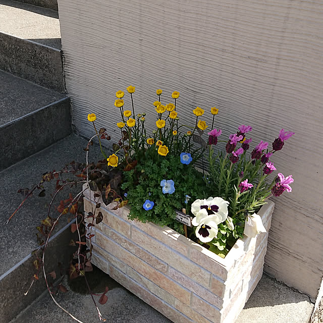 junaさんの実例写真