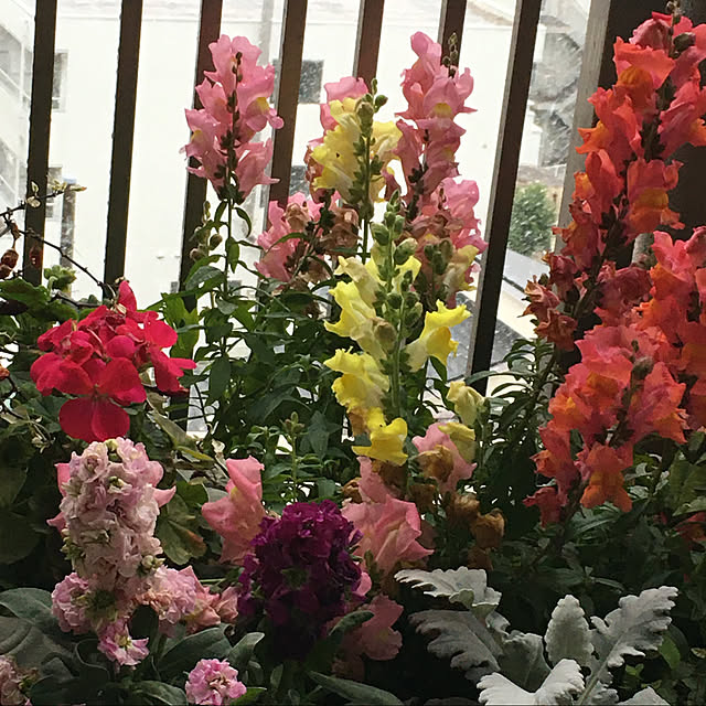 tomobaさんの実例写真