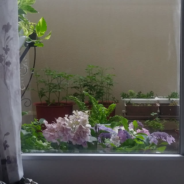 Namiさんの実例写真