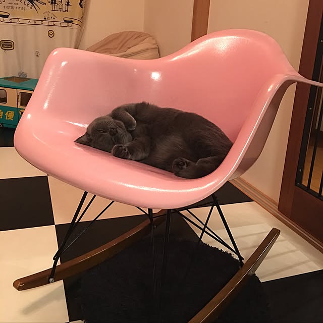 Shojiさんの実例写真