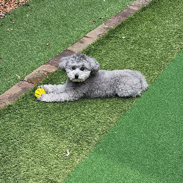 hajime54513さんの実例写真