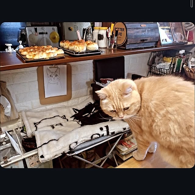 mntcさんの部屋
