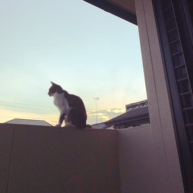 yurari.bonnさんの実例写真