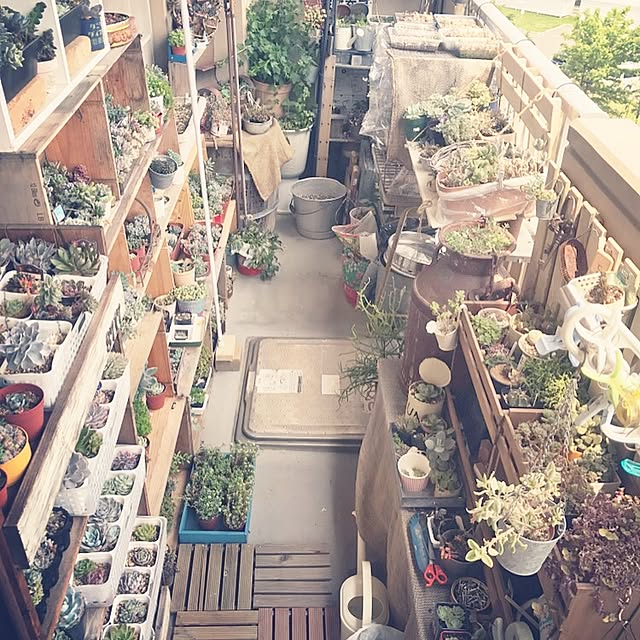 8717さんの実例写真