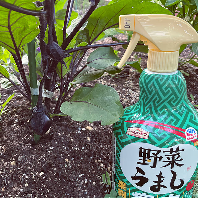 seiさんの実例写真