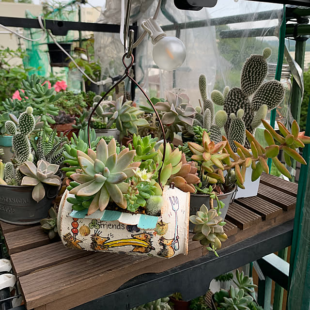 多肉植物寄せ植え/リメイク缶/ガーデン雑貨/好きな時間/癒し 多肉植物寄せ植え/リメイク缶/ガーデン雑貨/好きな時間/癒し