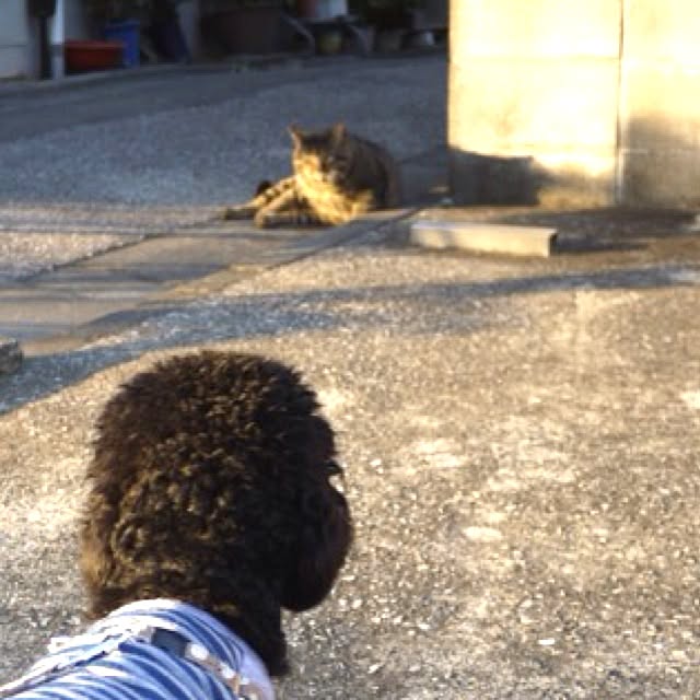 keitanさんの実例写真