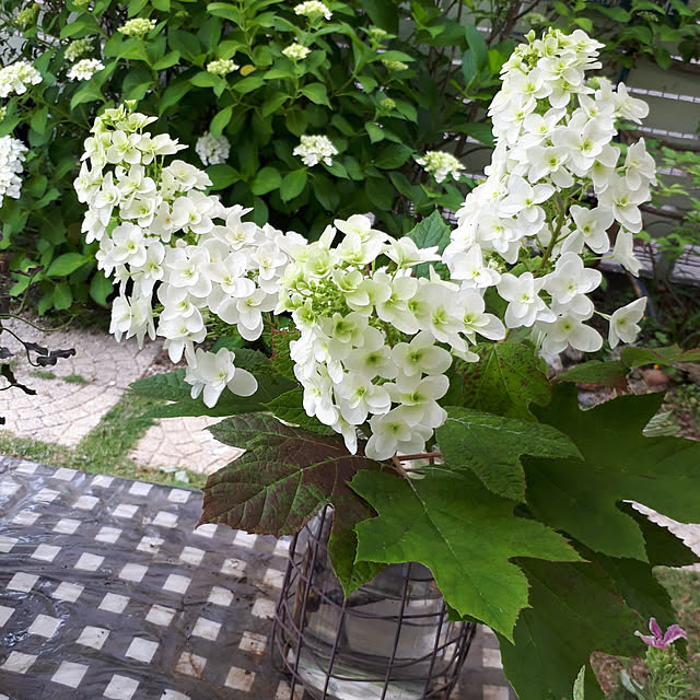 min_nimさんの実例写真