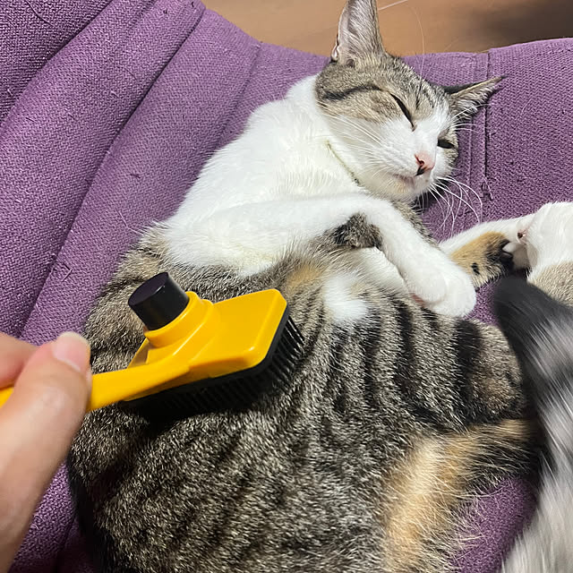 nacchi4さんの部屋