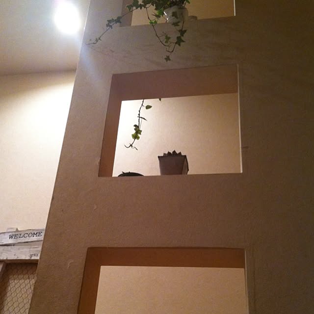 banbiさんの実例写真