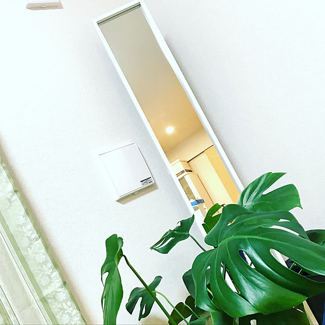 kottonさんの実例写真