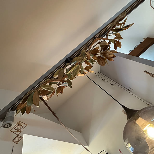 nobicoさんの部屋