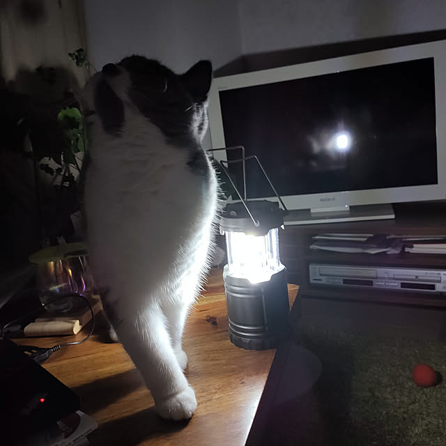 KEIKOさんの実例写真