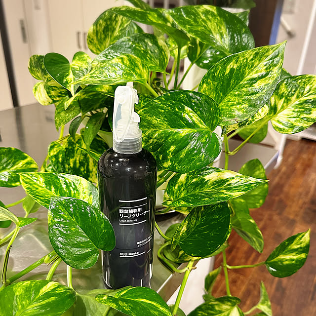 hanahana1444さんのお部屋の写真